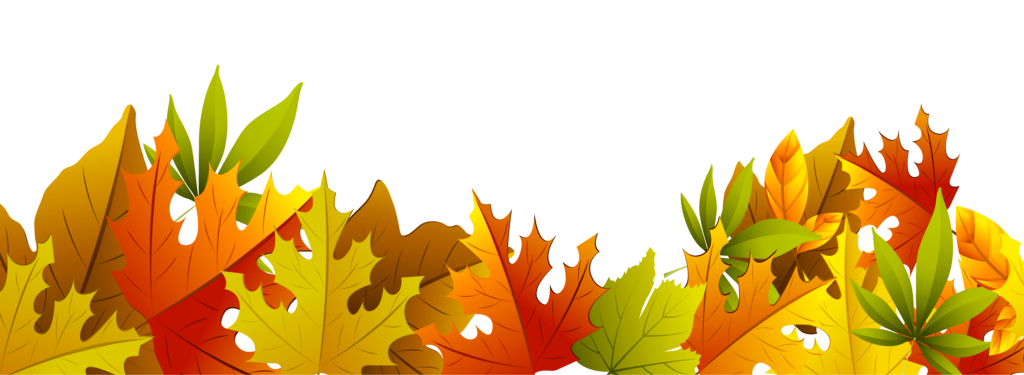 Fall leaves illustration
