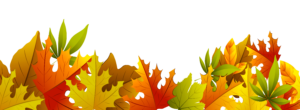 Fall leaves illustration